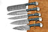 Custom Handmade Damascus 5 Pieces Kitchen Chef Knives Set