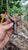 Blacksmith Slingshot Handcrafted High-Quality Slingshot - Perfect for Outdoor Fun and Target Practice