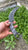 Hand Forged Damascus Steel Karambit knife