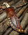 Blacksmith Carbon Steel Tactical Bushcraft Bowie knife