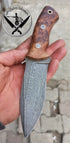 Custom DAMASCUS Hunting Knife Chestnut Handle - 150 Layers - Camping Knife - Damascus Steel Knife - Survival Knife