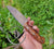 Hunting Knife 1075 Carbon Steel and Walnut Wood Handle - Camping Knife - Tactical Knife - Survival Knife