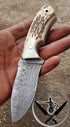 CUSTOM DAMASCUS Hunting Knife Stag Horn Handle - Camping Knife - Damascus Steel Knife -Damascus Bushcraft Knife