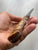 CUSTOM DAMASCUS Hunting Knife Chestnut Handle - Camping Knife - Damascus Steel Knife - Survival Knife