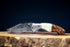 Folding Knife Handmade Damascus Steel Pocket Knife